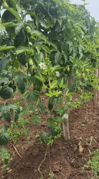 Team at exhibition booth