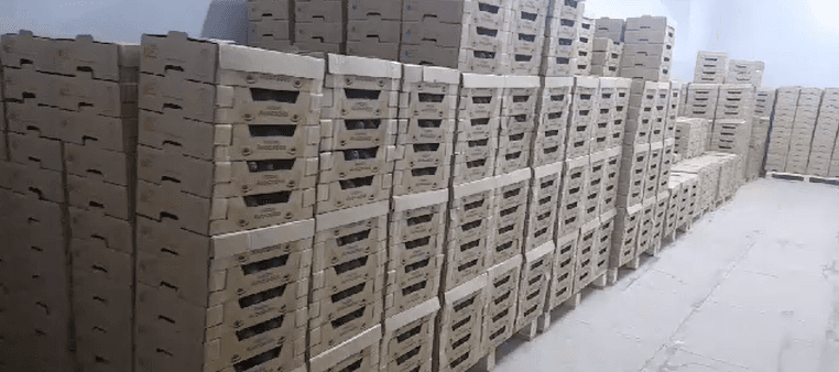 Refrigerated container interior